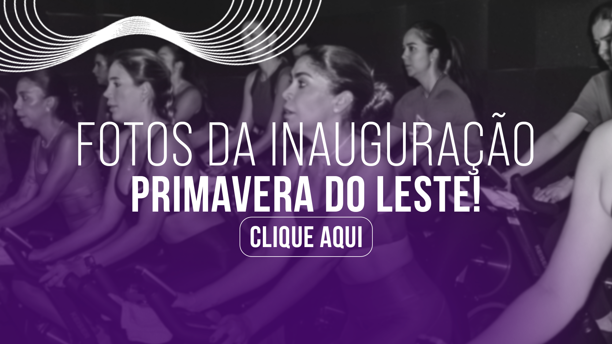 Studio Insanos