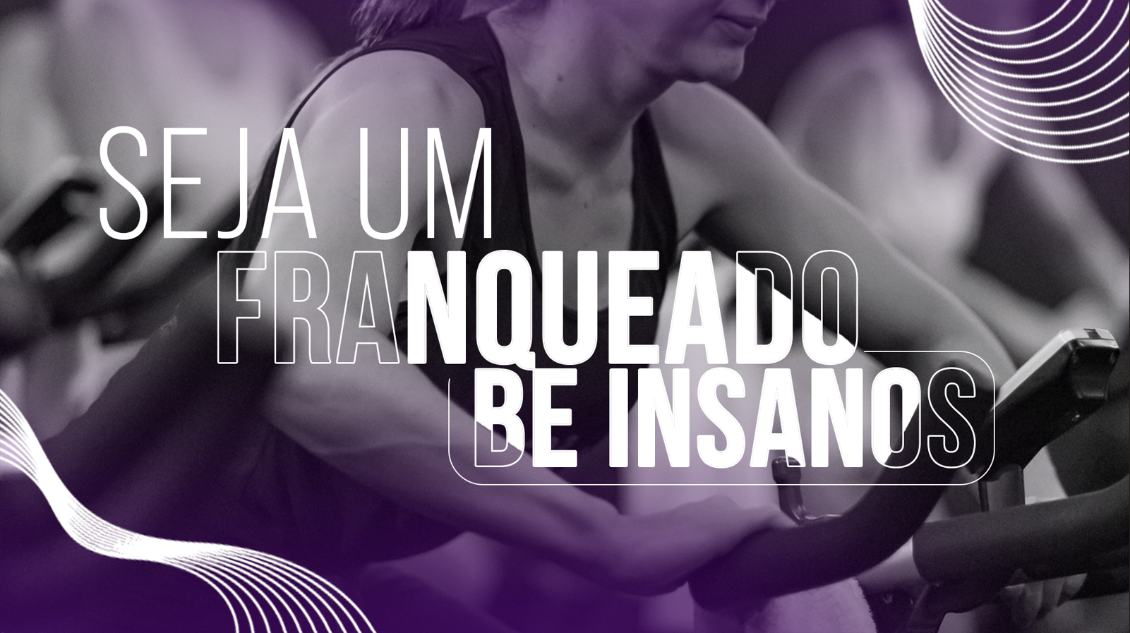 Studio Insanos